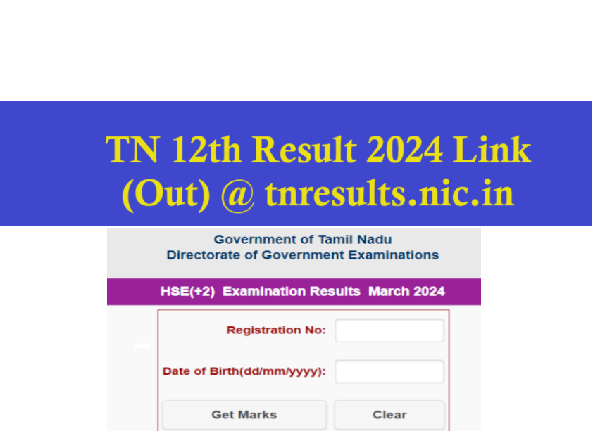 Tnresults.nic.in 2024 12th Result link